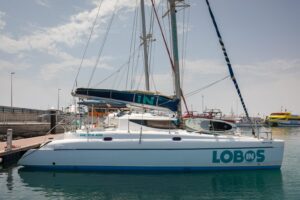 Lobos in Catamaran, Corralejo, Fuerteventura, Catamaran excursion